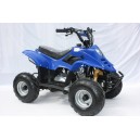 Petrol powered 110cc mini quad bike with reverse