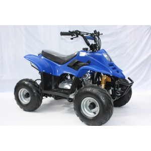 Petrol powered 110cc mini quad bike with reverse