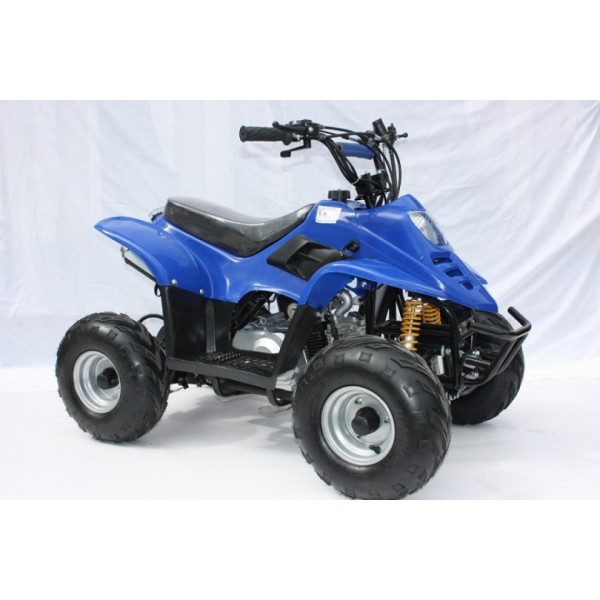 Petrol Powered 110cc Mini Quad Bike With Reverse Atvs