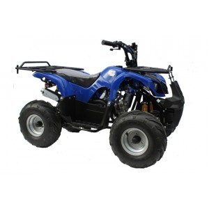 Condor 110cc Quad with 4 Stroke Engine