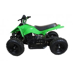 500 Watt Electric MIni Quad Bike - 36V