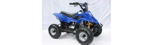 Petrol powered quads